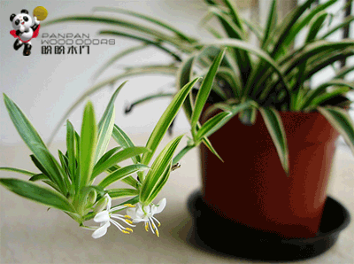 盼盼生态门,盼盼实木复合门