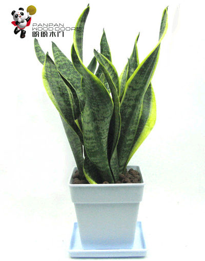 盼盼实木门,盼盼原木门
