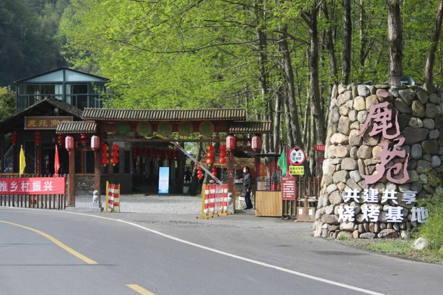 迎春风 踏青去 和宜昌盼盼来一场春天的约会