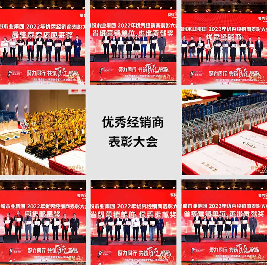 聚力同行 共筑百亿盼盼